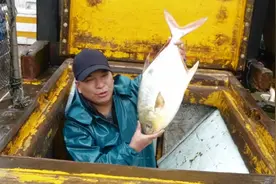 5斤一条的深海金鲳鱼，香煎还是红烧鱼都非常美味视频封面