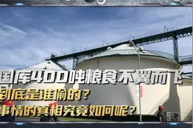 国库400吨粮食不翼而飞，到底是谁偷的？事情的真相究竟如何呢？视频封面