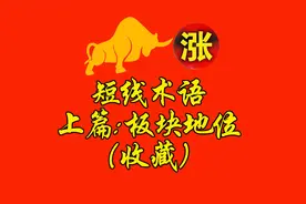 短线术语，上篇：板块地位。先手龙、身位龙、日内龙、板块中军