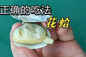 花蛤的这些部位最好别吃，正确的吃法应该是这样的视频封面