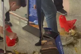 男子携带散装活螃蟹过安检，得知无法通过安检后，下一幕惊呆众人视频封面