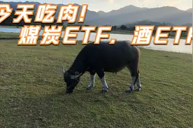 今天吃肉！煤炭ETF、酒ETF视频封面