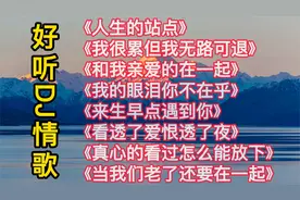 全网最火DJ情歌，车载dj分享，首首洗脑，太好听了，怎么听都不腻