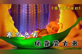 北方的冬天有多冷？萤火虫的尾灯，竟是动物们取暖的东西！