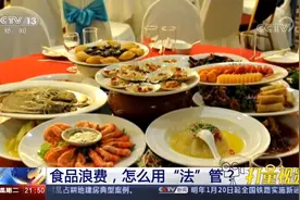 我国食品浪费“触目惊心”，怎么用“法”管？|新闻1+1视频封面
