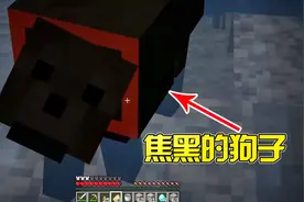 我的世界：被烤黑的小狼崽，MC中的这个彩蛋你知道吗？