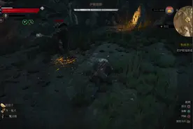 巫師 3 老猎魔人对战狂猎将军，是否能胜利.视频封面