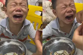 俩萌娃把大闸蟹当宠物 见爸爸煮熟端来边吃边哭视频封面