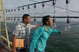美食：海南渔民捕鱼有绝招，灯光吸引加上超大渔网，只能在晚上捞视频封面