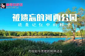 包头有个河西公园，现今已改名叫包钢公园，你还记的这个地方吗？视频封面