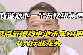 新能源领域下一个万亿级赛道！梳理4大氢燃料电池龙头视频封面