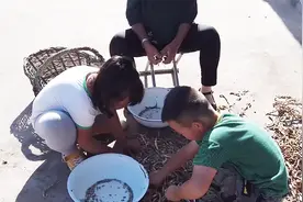 五美妞和孩子们在家扒豆角籽，哼着小曲干着活，子孙环绕真欢乐！