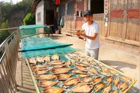 近300斤翘嘴鱼干终于晒好了，今天公布做法，出锅不愧是湖南特色