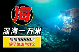 深海10000米都有什么？带你了解海底不为人知的一面