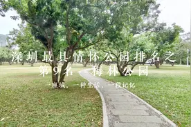 深圳10个最具情怀公园得分，梅林公园排名第九，这里告诉你为何视频封面