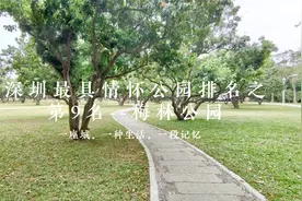 深圳10个最具情怀公园得分，梅林公园排名第九，这里告诉你为何视频封面