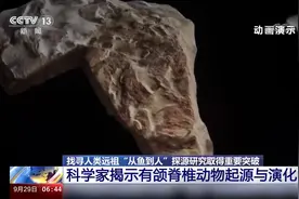 我国科研团队证实人类是从鱼进化来的视频封面