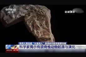 我国科研团队证实人类是从鱼进化来的视频封面
