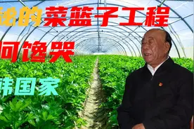 功在当代，利在千秋！神秘的菜篮子工程，如何馋哭日韩老百姓？视频封面