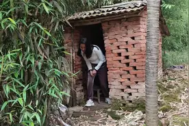 体验乡村老式茅厕，农人忙着种玉米苗，规模化生产田间好热闹视频封面