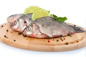 银屑病对鱼、牛羊肉等发物需忌口吗？专家：饮食忌辛辣忌饮酒即可视频封面