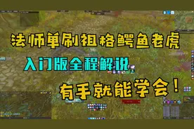 【魔兽世界怀旧服】有手就能学会，入门版法师单刷祖格鳄鱼老虎！