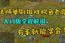 【魔兽世界怀旧服】有手就能学会，入门版法师单刷祖格鳄鱼老虎！