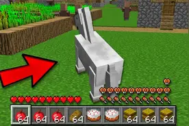 我的世界：世界上最聪明的马有多牛？单人通关MC创造记录！