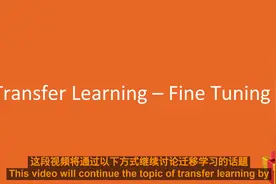 实战TensorFlow2.0课程：迁移学习，微调模型视频封面