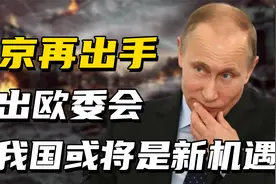 从全盘西化讨好西方，到彻底看清西方面孔，俄罗斯的转变历史视频封面