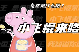 这是什么梗：小飞棍来咯～视频封面
