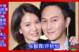 张智霖/许秋怡粤语经典情歌对唱12首视频封面