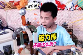 捕获大号变形磁力狗？玩转贝易大自然磁力棒，这样的玩法你见过吗视频封面