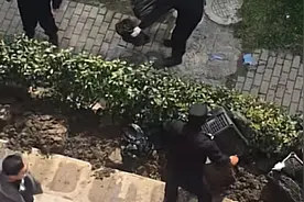 上海82岁老人在自家门口种菜被暴力清理？ 城管局回应视频封面