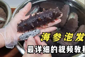 海参泡发方法原来这么简单，做法和要点详细讲解，新手一次就成功视频封面