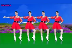 广场舞《百花香》热歌DJ，零基础32步，一看就会，适合初学者