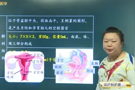女性生殖系统解剖生理-内生殖器组成和功能：子宫的解剖结构特点视频封面