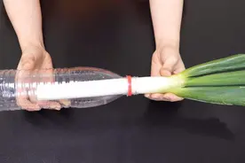 在塑料瓶里插一根大葱，放厨房还有大妙用，全家人都夸省事，真棒