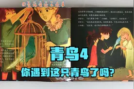 绘本故事：青鸟4，分享会让你感到幸福和快乐，儿童文学绘本故事视频封面
