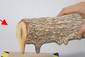 木头加热能熔化成液体？将它放在真空中，有趣的科学现象发生了！