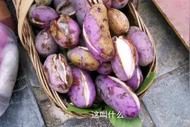 在贵州兴义吃的当地特色水果，八月瓜，你们那有吗？视频封面