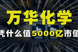 核心资产：化工的绝对龙头万华化学如何成为全球超一流企业？视频封面