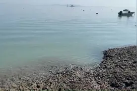 单独设置抖音信息，mp修改认证