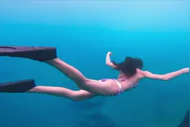 美女潜水合辑，太美啦～视频封面