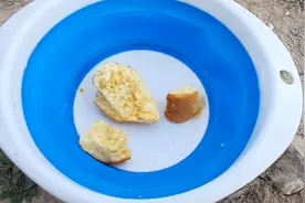 用过最好的钓鱼饵料，没有之一，被鱼疯抢视频封面