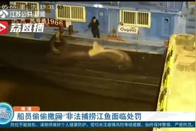 船员偷偷撒网 非法捕捞江鱼面临处罚视频封面