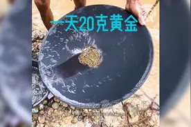 一天20克黄金的工作你来吗，淘金竟然这么简单，设备如此简陋视频封面