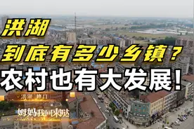 湖北荆州洪湖到底有多美？洪湖不比荆州差！农村也有大发展！视频封面