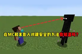 我的世界：在MC和末影人对视安全的方法你知道吗？太安全了！