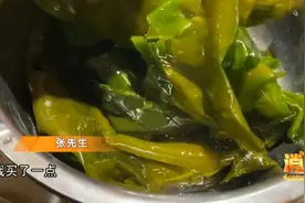迷彩布料还带异味？“花斑海带”有黄有绿！揭开海带“变色”之谜视频封面
